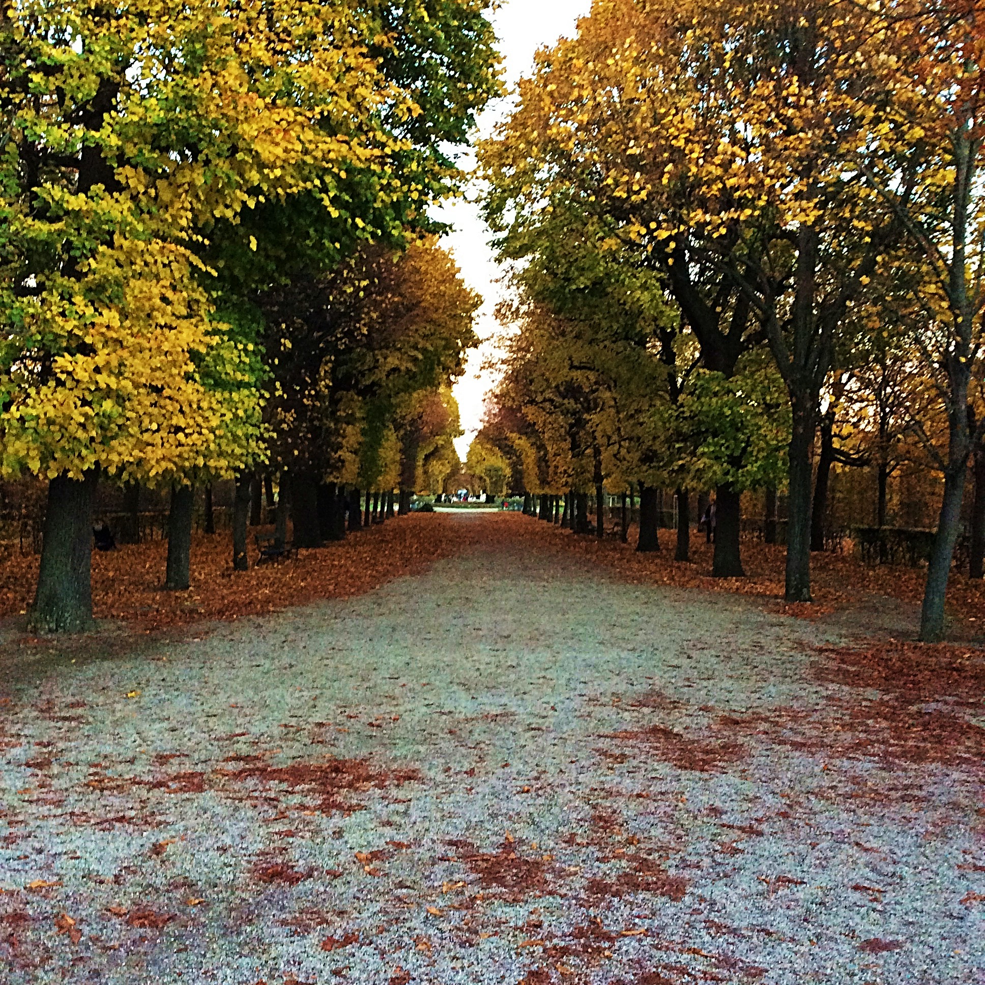 Schlosspark Schönbrunn im Herbst
